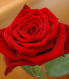 Von Herzen schenken und gemeinsam geniessen im Flair Hotel Weinstube Lochner