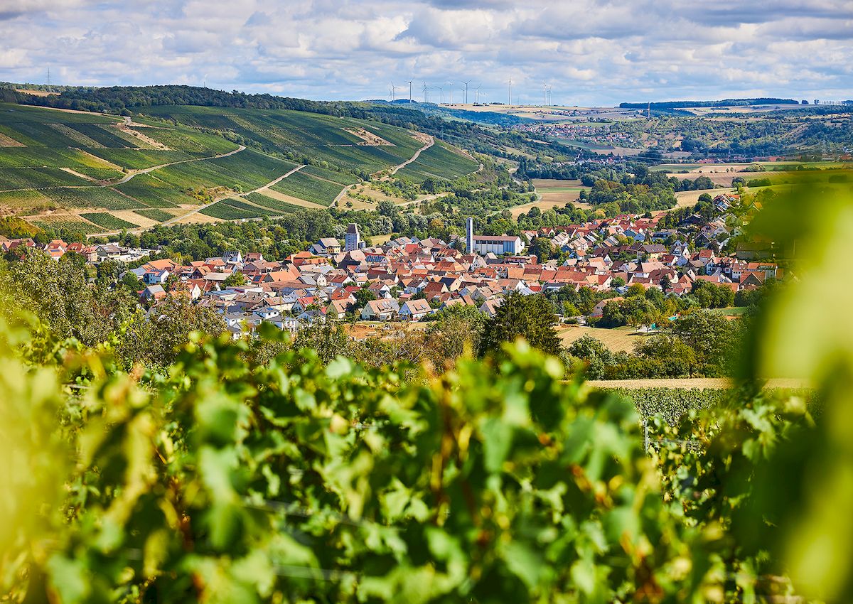 Markelsheim Wein und Kultur im lieblichen Taubertal